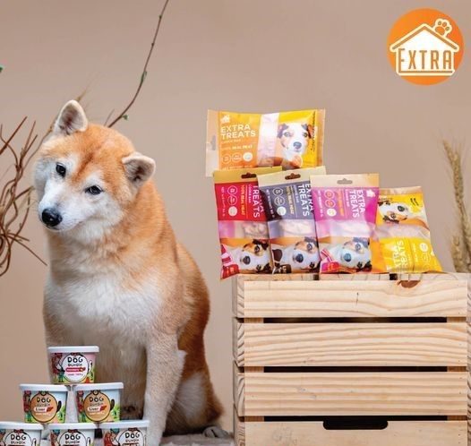 ไอศกรีม DogDukDik แมวและสุนัขทานได้